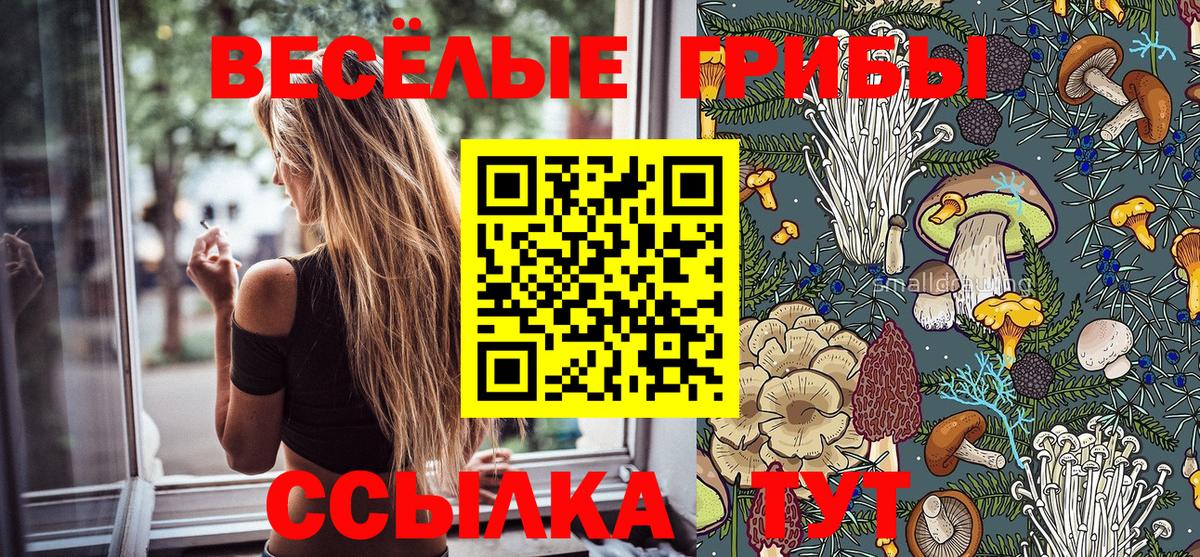Псилоцибиновые грибы Cubensis  Вход с VPN  Жуковский 
